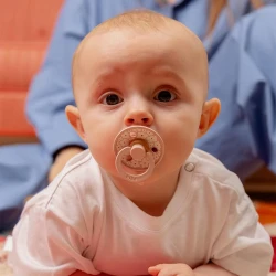 Пустышка круглая латексная Bibs Jasmine Sage, 6-18 мес. купить в Кишиневе. Фото 3