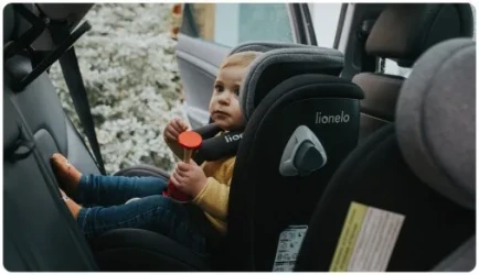 Детское автокресло 0-36 кг Isofix Lionelo Bastiaan RWF Stone, поворотное 360 купить в Кишиневе. Фото 11