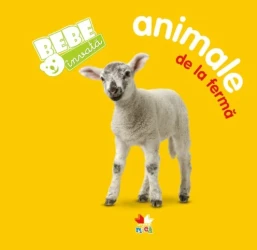 Carte Animale de la fermă - Bebe învață cumpăra în Chișinau. Foto 1