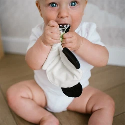 Мягкая игрушка BabyOno Panda Polly, 24,5 см купить в Кишиневе. Фото 3