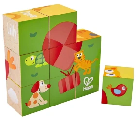 Cuburi Hape Friendship, 9 buc. cumpăra în Chișinau. Foto 1