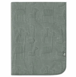 Păturică Jollein Jungle Jambo Ash Green/Laurel, 100x150 cm cumpăra în Chișinau