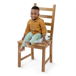 Scaun de masa-booster Bright Starts Ingenuity Simplicity Seat Easy Clean Grey cumpăra în Chișinau. Foto 8