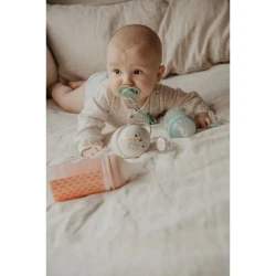 Контейнер для пустышек Suavinex Owl Pink купить в Кишиневе. Фото 7