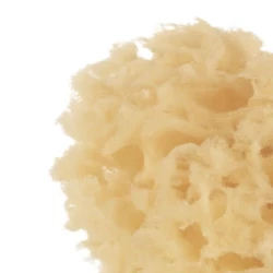 Детские губки для купания Jane Natural, 2 шт. купить в Кишиневе. Фото 2