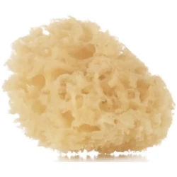 Детские губки для купания Jane Natural, 2 шт. купить в Кишиневе. Фото 3