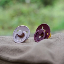 Suzetă rotundă din latex Bibs Colour Wine 0-6 luni cumpăra în Chișinau. Foto 6