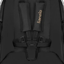 Carucior 3 in 1 Lionelo Amber Black Onyx cumpăra în Chișinau. Foto 14
