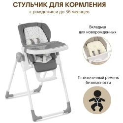 Стульчик для кормления 2 в 1 Jane Mila Star купить в Кишиневе. Фото 6