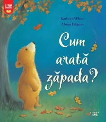 Книга Как выглядит снег - Читаем вместе купить в Кишиневе. Фото 1