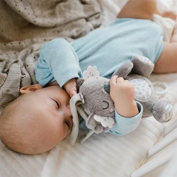 Jucarie cu pandantiv și melodie BabyOno Koala Coco Beige cumpăra în Chișinau. Foto 7