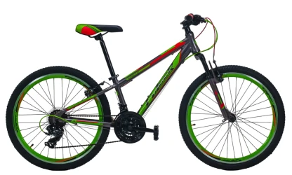 Bicicleta Fulger Apollo Green & Red, roți 24 cumpăra în Chișinau. Foto 1