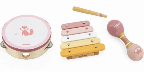 Set muzical PolarB Fox cumpăra în Chișinau. Foto 1