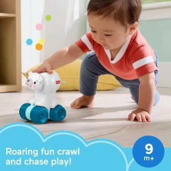 Интерактивная игрушка Fisher Price Polar Bear купить в Кишиневе. Фото 4