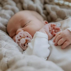 Пустышка круглая латексная Bibs Boheme Blossom, 6-18 мес. купить в Кишиневе. Фото 3