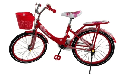 Bicicletă Epid VL–506 BXML în sort., roți 18 cumpăra în Chișinau. Foto 2
