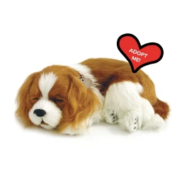 Мягкая игрушка Perfect Petzzz Cocker King Charles Bicolor, 35 см купить в Кишиневе. Фото 7