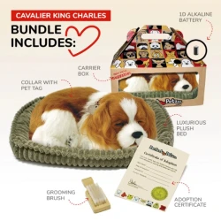 Jucărie de pluș Perfect Petzzz Cavalier King Charles Multicoloured, 26 cm cumpăra în Chișinau. Foto 5