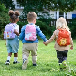 Детский рюкзак LittleLife Toddler Lion, 18x24x9 см купить в Кишиневе. Фото 7