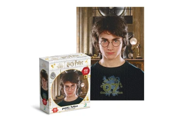Пазл Dodo Портрет Гарри, серия Harry Potter, 450 элементов купить в Кишиневе. Фото 1