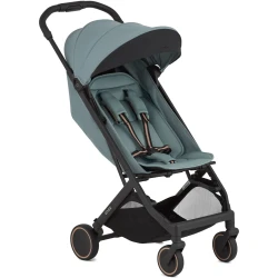 Carucior de plimbare Anex Air-X2 Sky cumpăra în Chișinau. Foto 4