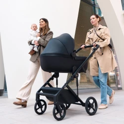 Коляска 2 в 1 Anex Eli Midnight купить в Кишиневе. Фото 13