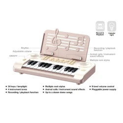 Пианино Essa Toys Little Musician купить в Кишиневе. Фото 2