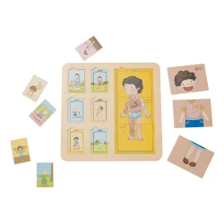 Jucărie educativă Classic World Body Puzzle cumpăra în Chișinau. Foto 2