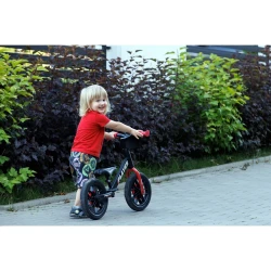 Bicicletă fără pedale QPlay Player Red cumpăra în Chișinau. Foto 9