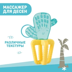 Прорезыватель для зубов Chicco Fresh Cactus купить в Кишиневе. Фото 5