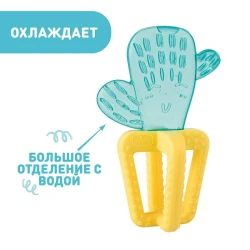 Прорезыватель для зубов Chicco Fresh Cactus купить в Кишиневе. Фото 4