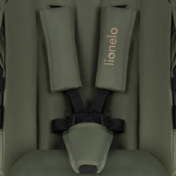 Carucior 2 in 1 Lionelo Amber Plus Green Forest cumpăra în Chișinau. Foto 2