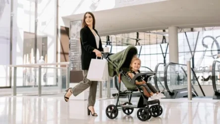 Carucior de plimbare Lionelo Emma Plus Pink cumpăra în Chișinau. Foto 22