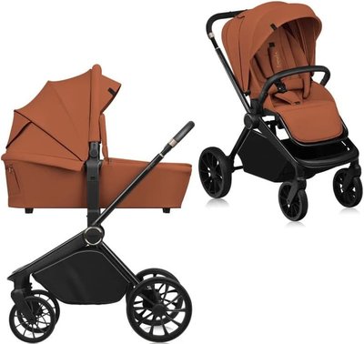 Carucior 2 in 1